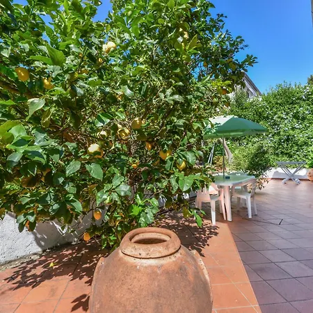 Apartment Giardino Di Via Del Ruotone